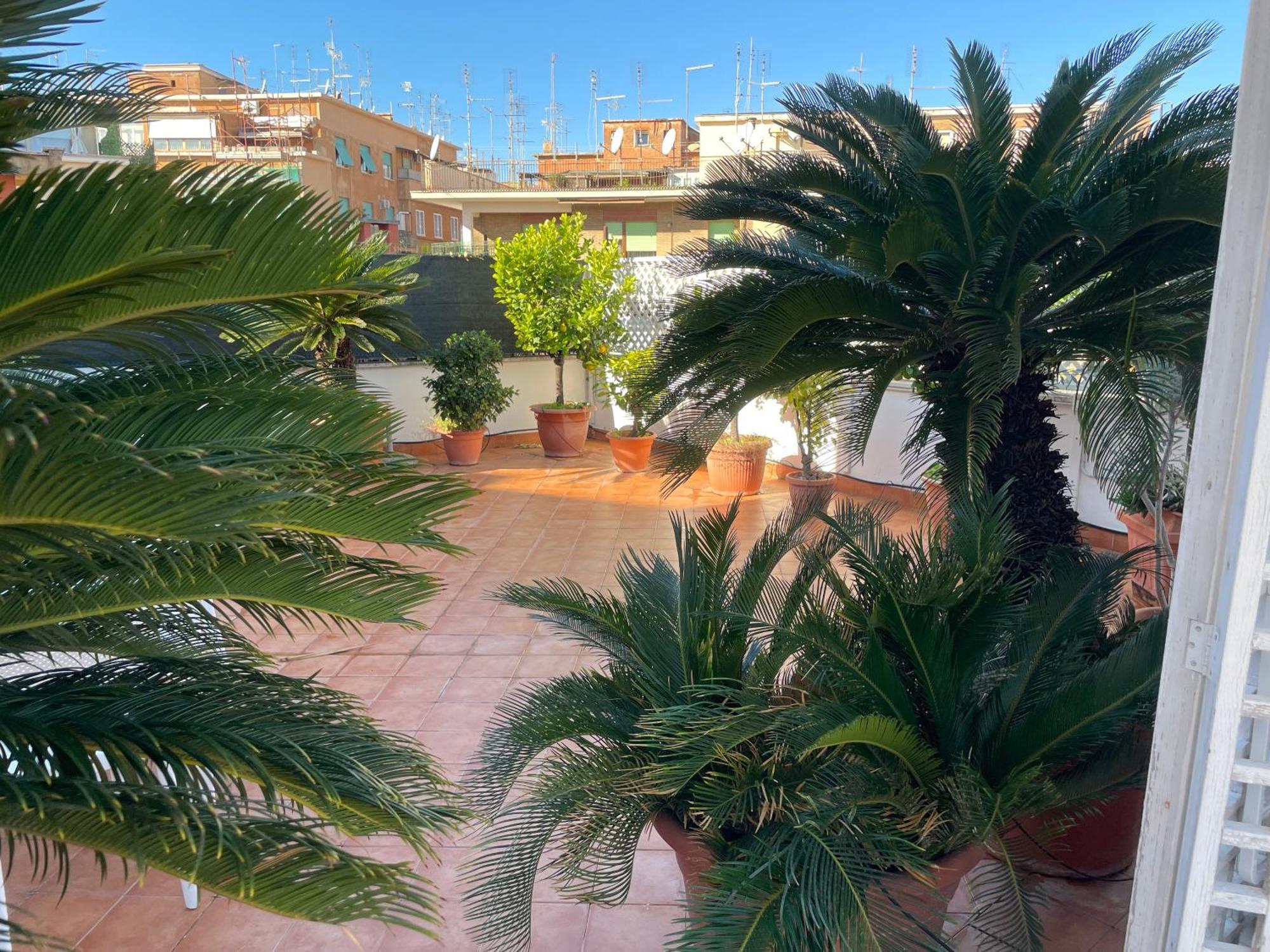 Oasi Urbana - The Vatican Roof Garden Apartment *